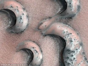Скачать Ученые обнаружили на Марсе деревья