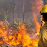 Скачать Инженеры разработали новое устройство для предупреждения возникновения лесных пожаров