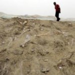 Скачать В Китае обнаружены тысячи следов динозавров