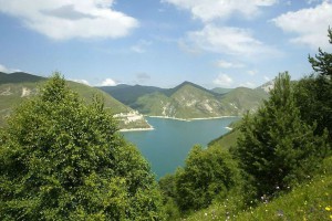 Скачать Возрождается гербарий Восточного Кавказа