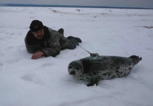 Скачать Космическая нянька для тюленят