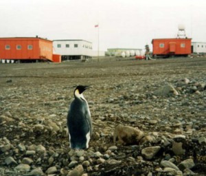 Скачать 55 я Российская экспедиция окольцует Антарктиду