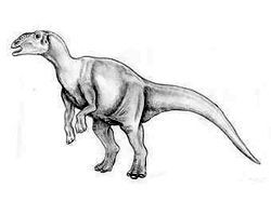 Скачать Обнаружены останки пережившего катастрофу динозавра
