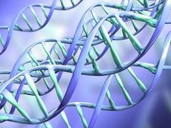 Скачать В геноме человека найден возрожденный ген