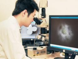 Скачать Ученые Великобритании используют самый мощный микроскоп