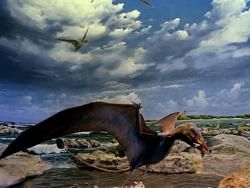 Скачать Ученые взвесили птерозавров