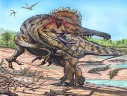 Скачать Восстановлен внешний вид крупного хищного динозавра