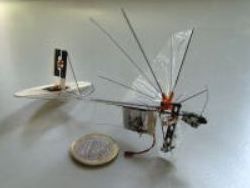 Скачать Крылья для летающего робота напечатали на 3D принтере