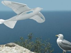 Скачать Ученые разработали чайку робота