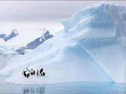 Скачать Сколько Беларусь платит за присутствие в Антарктиде?