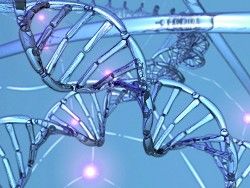 Скачать Ученые: человеческий геном перестраивается