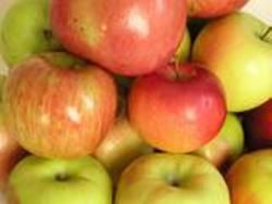 Скачать Всего одно яблоко снизит риск развития инсульта