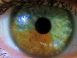 Скачать Учёные научились менять цвет глаз