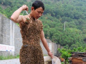 Скачать 26 килограмм пчел на теле китайца